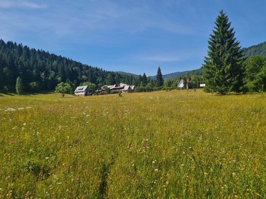 Vand teren intravilan in Ceahlău(Durău)