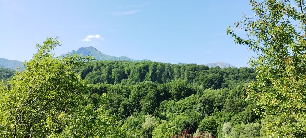 Продава се Парцел в Априлци - 9145 кв.м за 9 €/кв.м - Снимка #1