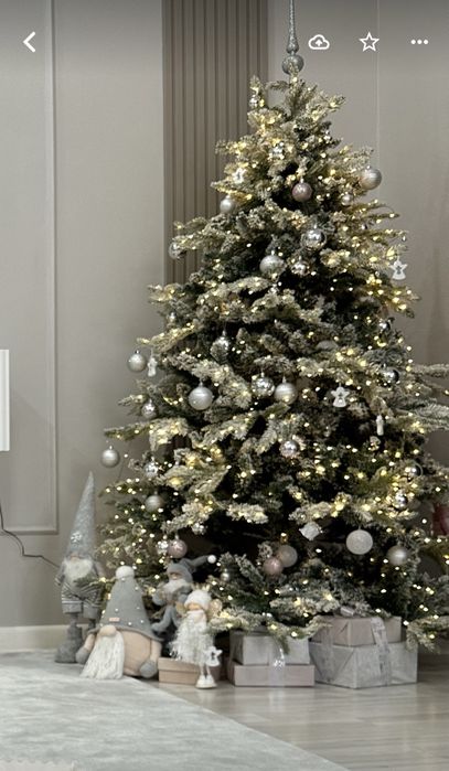 Ёлка Альпийская заснеженная