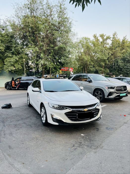 Malibu 2 preimer 2022 Toza