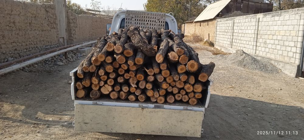 Ўрикўтин сотаман