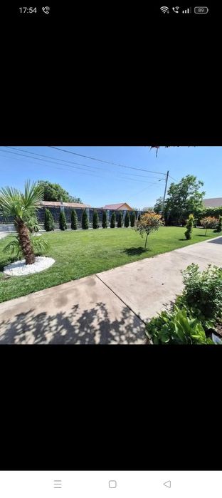 Plante decorative pt o gradina de vis