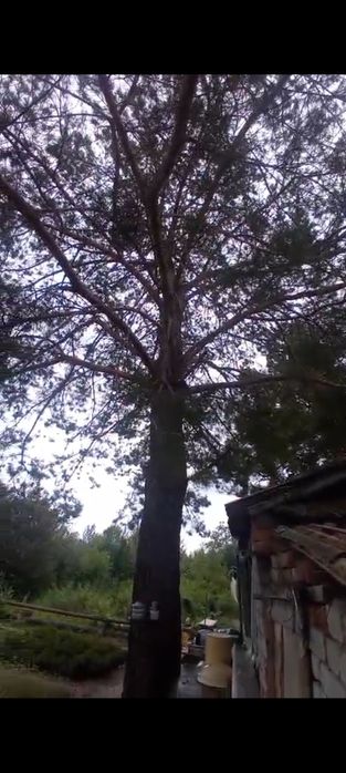 Продается дача .