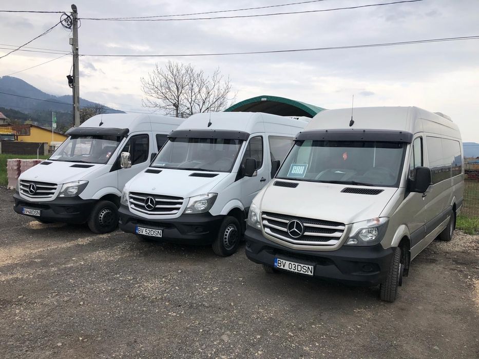 Transport persoane microbuze, autocare
