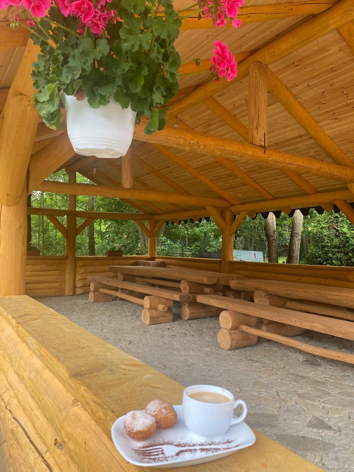 Cabana în Bucovina