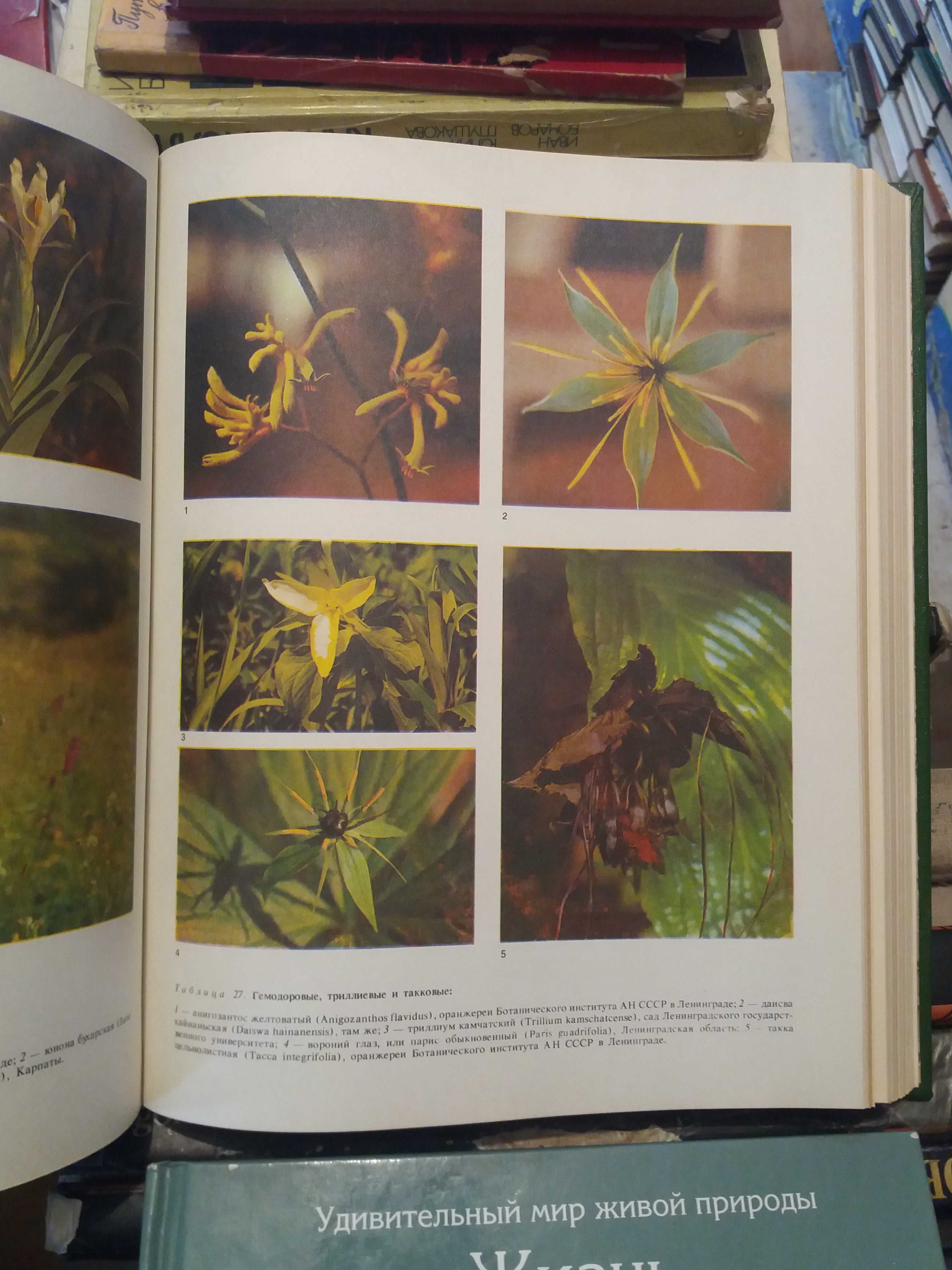 Жизнь растений. Энциклопедия в 6 томах (комплект из 7 книг)