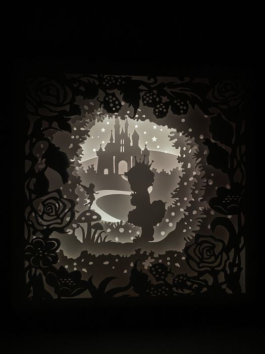 Tablouri 3d cu lumina (shadowbox)