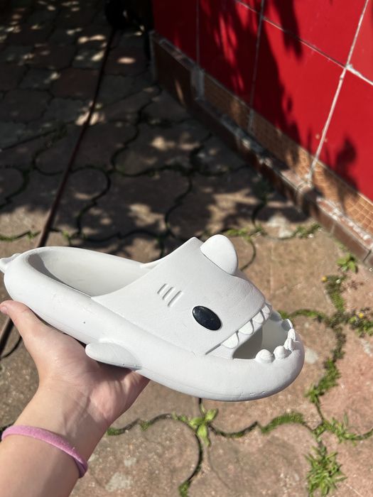 Sharkiez slapi adolescenti