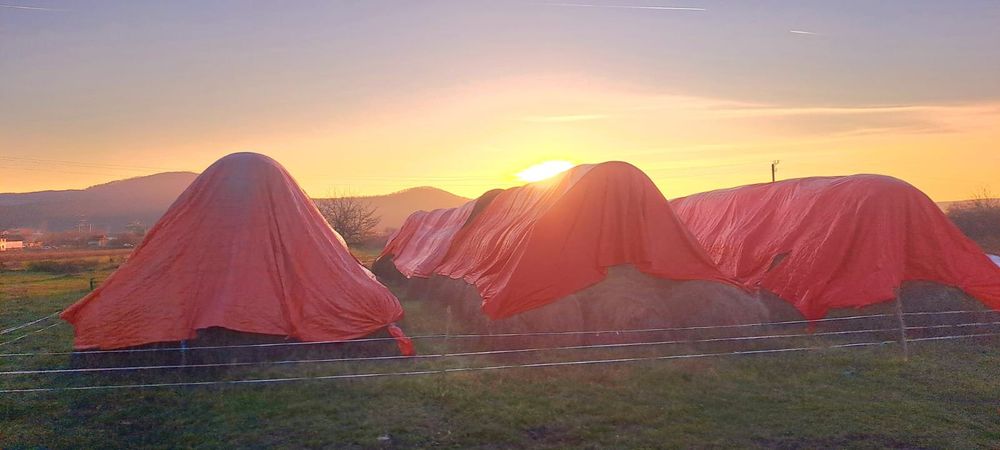 Vând baloți de fân și lucernă