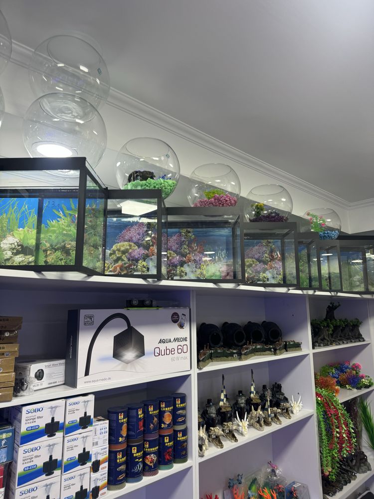 Akvarium magazin Mirobod va Sergili