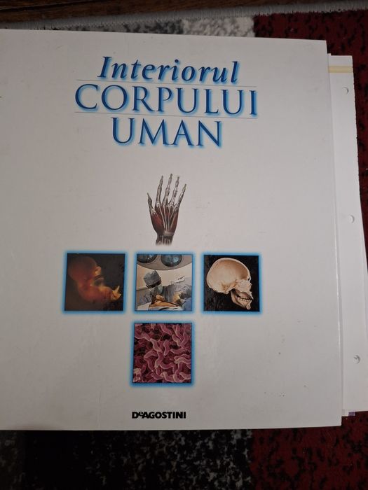 Biblioraft și cateva ediții Deagostini înteriorul corpului uman