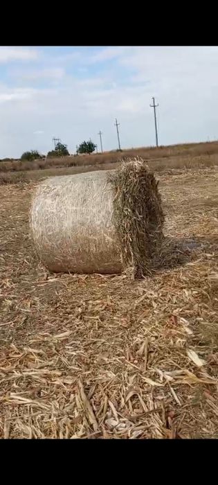 Vând baloți de coceni