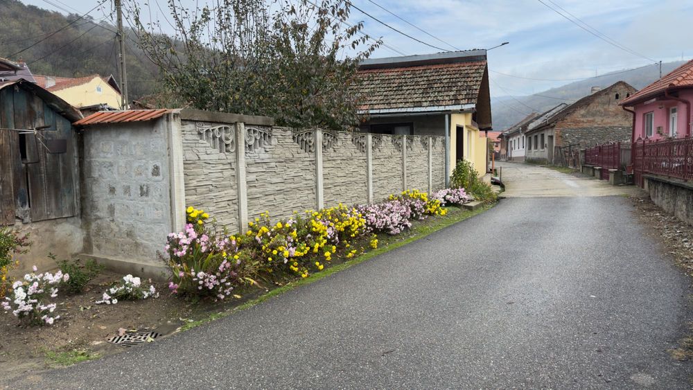 Casa de vanzare, in Moldova Noua
