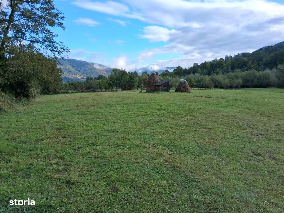 Teren intravilan 6000 mp, Pangarati, cu iesire la raul Bistrita