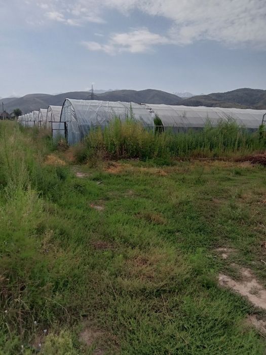 Сдам теплицу в аренду