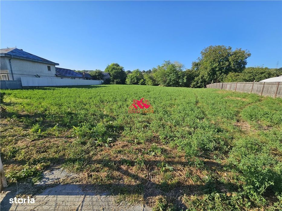 Teren De Inchiriat Zona Margineni