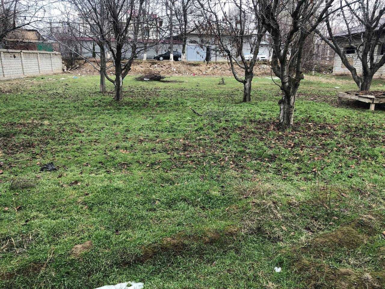 Keles Ko'k terakda  avtadrom kochada