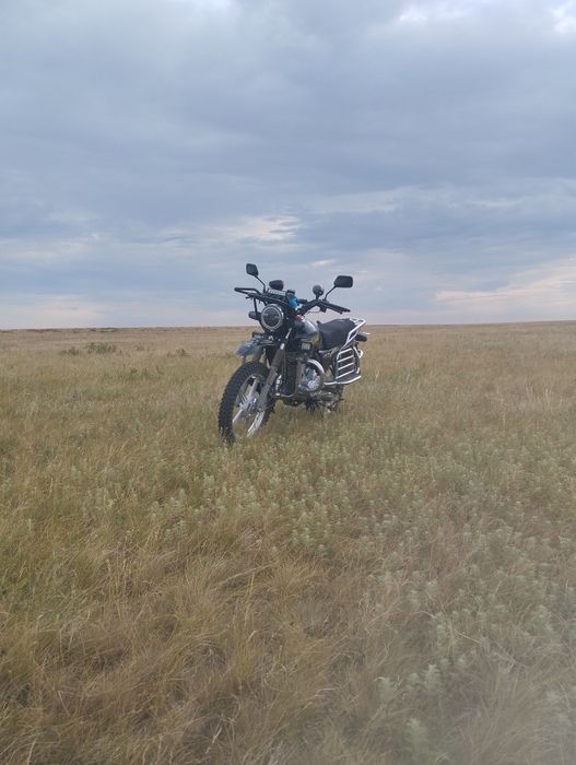 Обмен бартер на лошадей крс