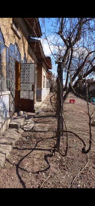 Casa cu terenuri de 1500 m² / 1500m² total 3000m²