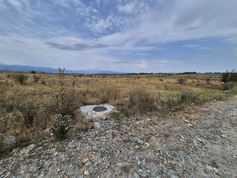 Teren intravilan Narcise preajba