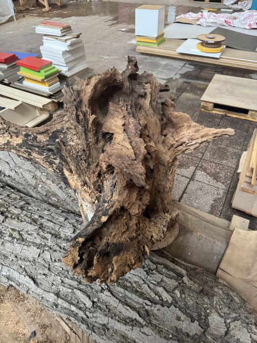 Орехов корен декорация