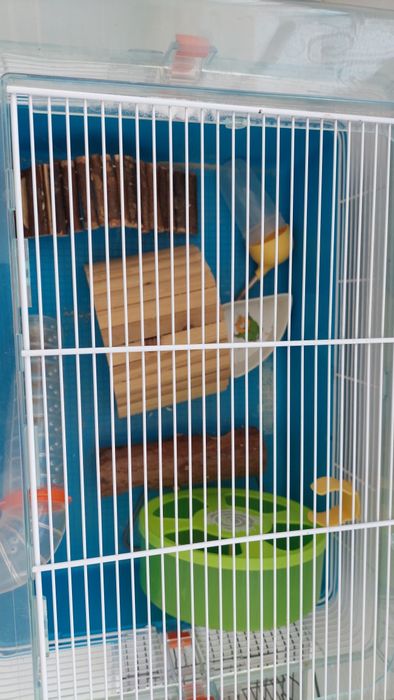 Cusca hamsteri cu accesorii și nisip