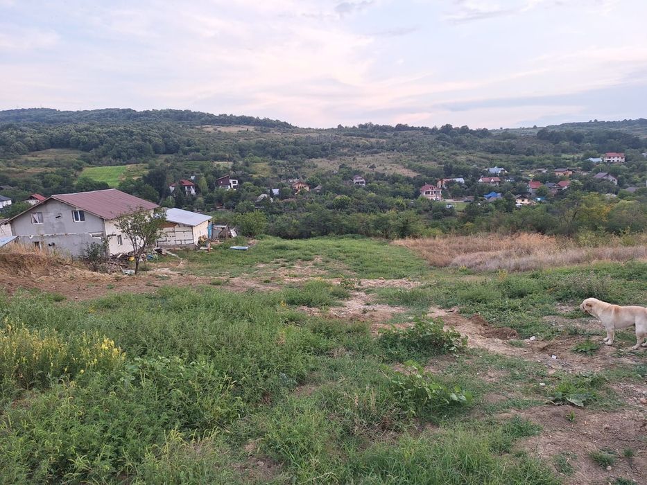 Teren spre vânzare