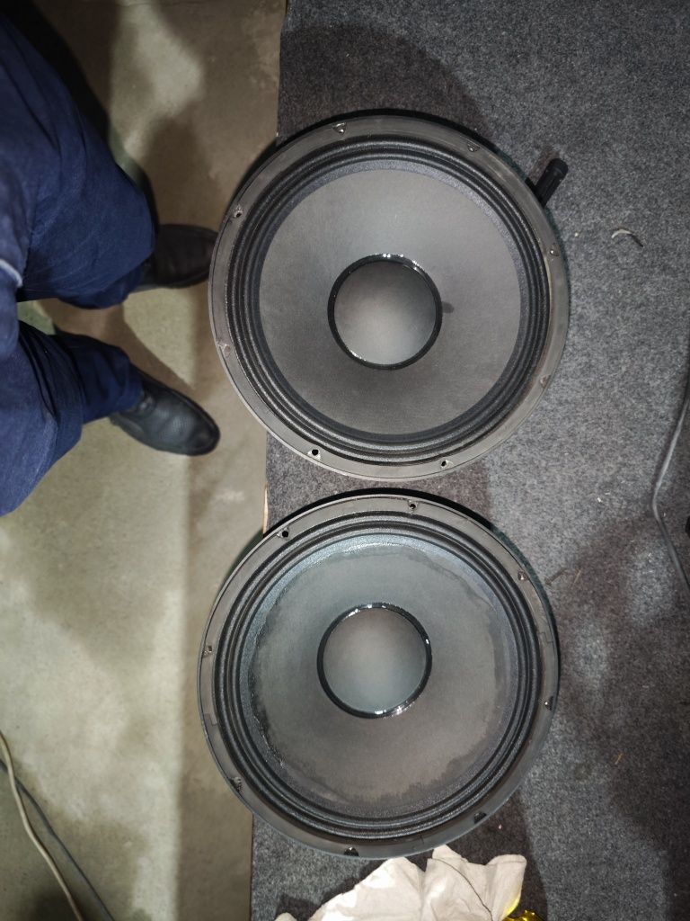 Adel 12 dyum  300w