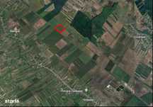 Teren agricol 13,5 hectare | Tartasesti | Ciocanesti | DB