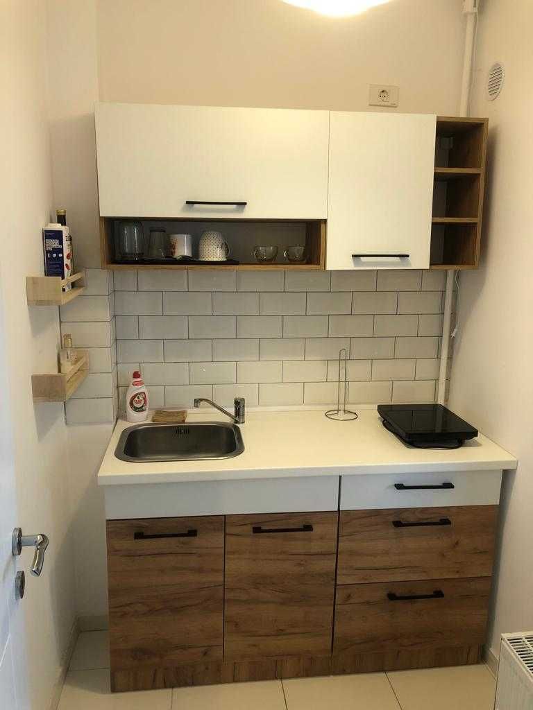 Apartament 2 camere Drumul Gura Fagetului, Theodor Pallady