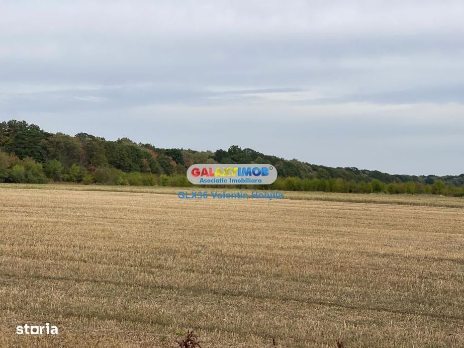 Vanzare teren 3300 mp Peris -deschidere padurea Scrovistea