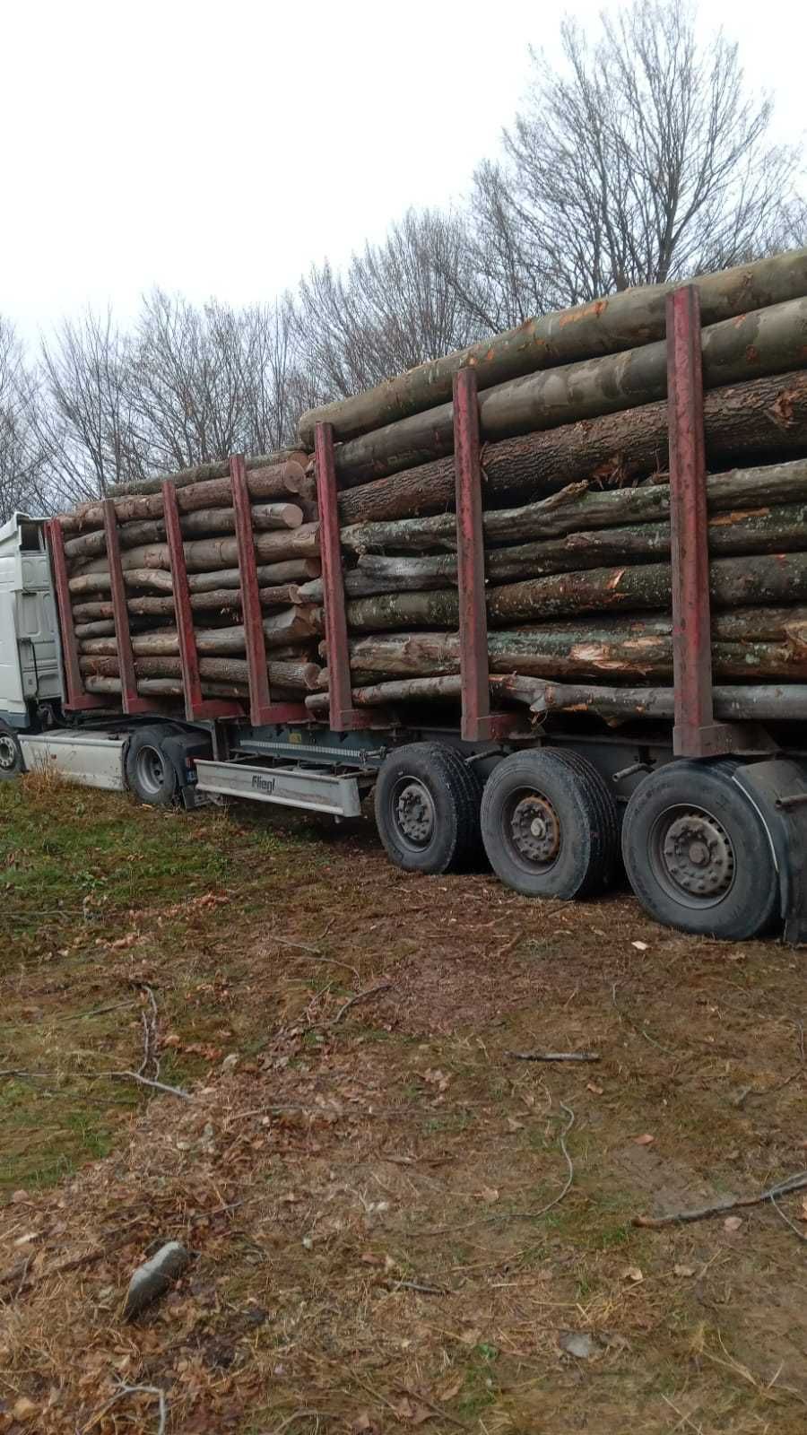 Vand Lemne de foc cu posibilitatea de plata prin cardul de energie