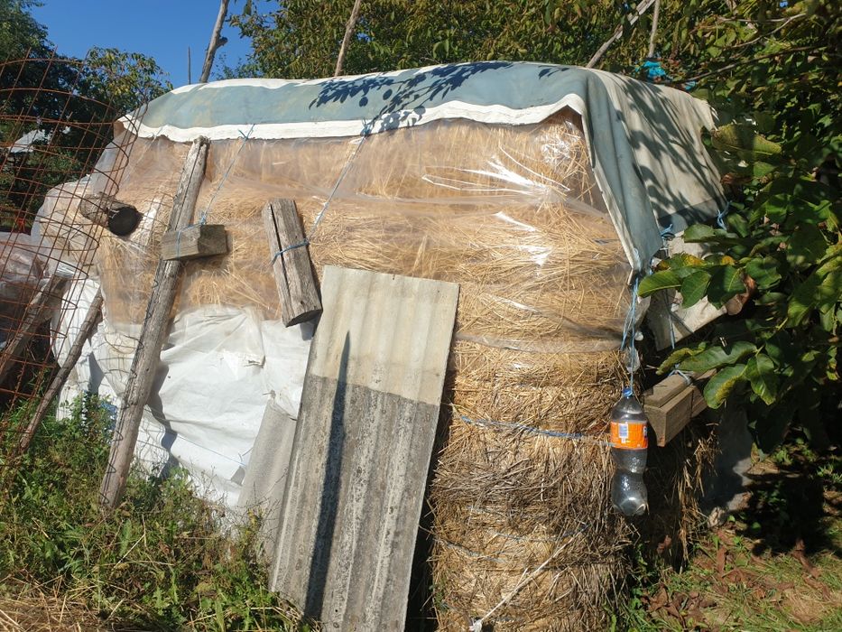 Vand baloti de fan si trifoi