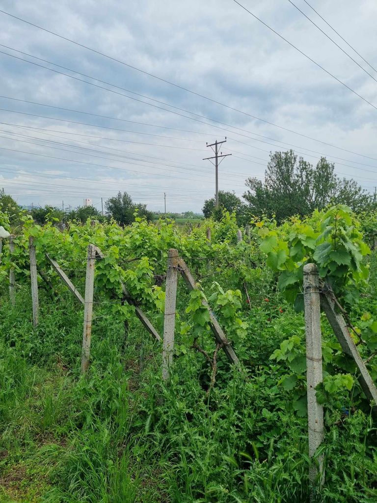 Продава се Парцел в Ямбол, Център - 755 кв.м за 10 €/кв.м - Снимка #2