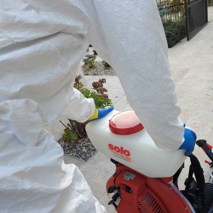 Oferim servicii Dezinsectie si Deratizare in Bucuresti si Ilfov