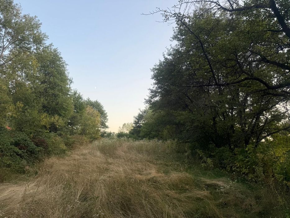 Teren intravilan Voinesti/Leresti 1700 mp