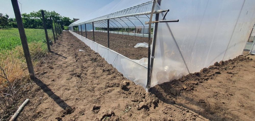 Solar la gata pentru gradina