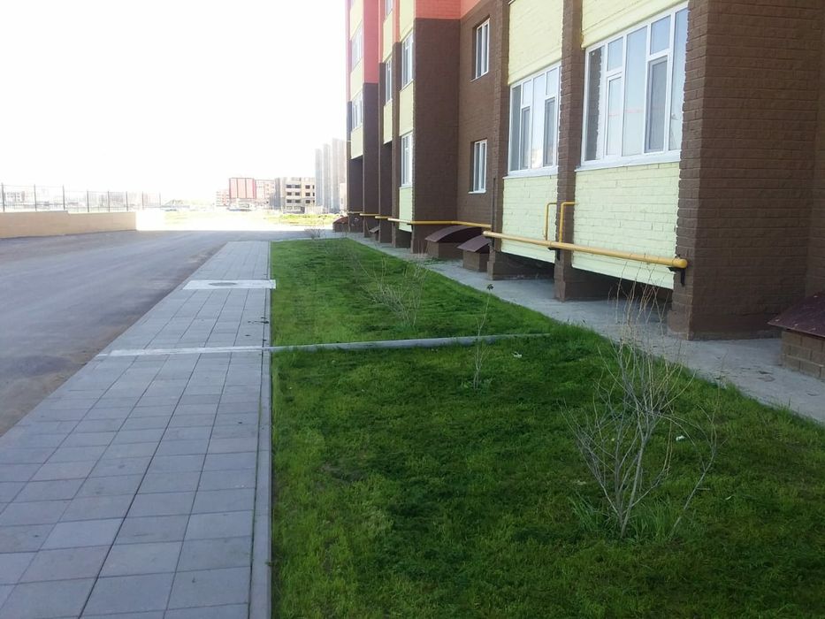 Посев газона, подстрижка газона