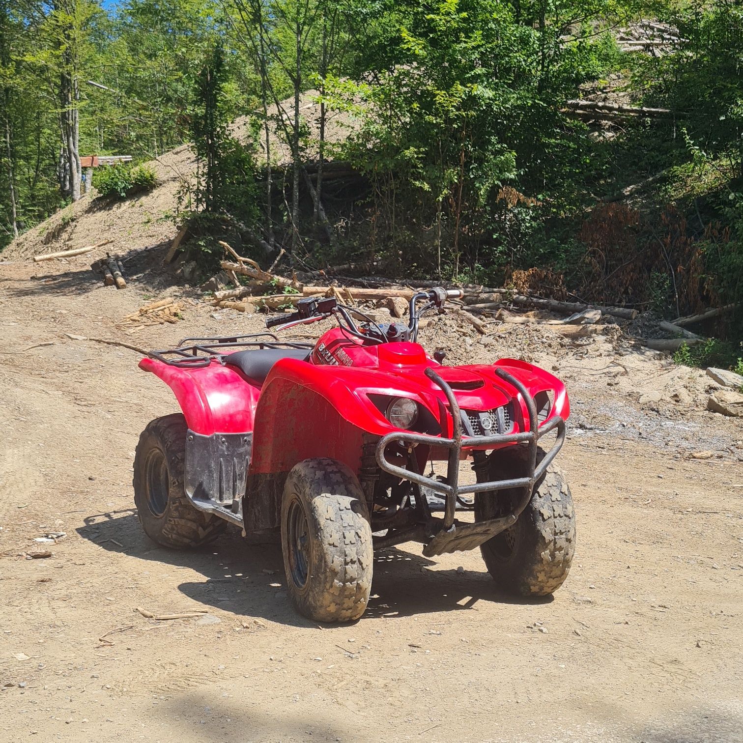 Атеве Yamaha bruin 250