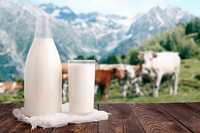 Vând lapte de vacă