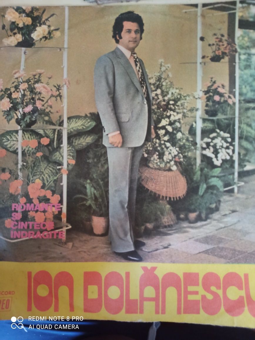 Disc vinil - Ion Dolănescu