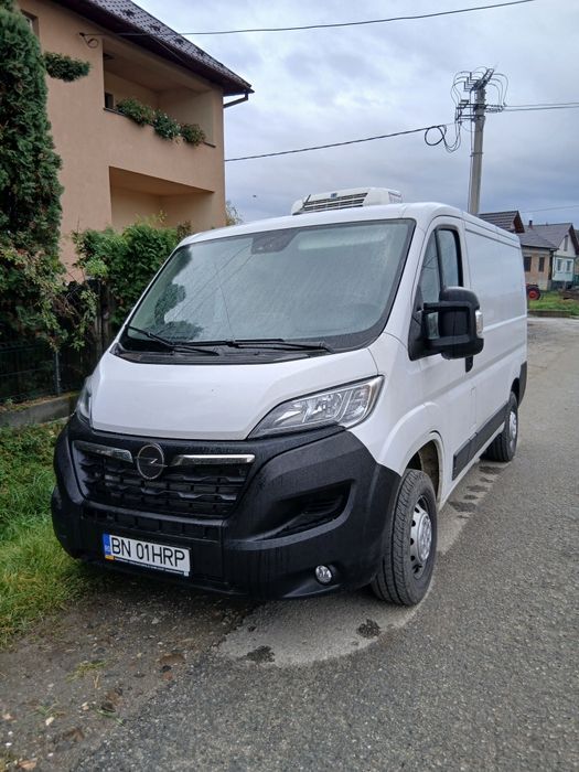 Transport  marfa cu frigorific