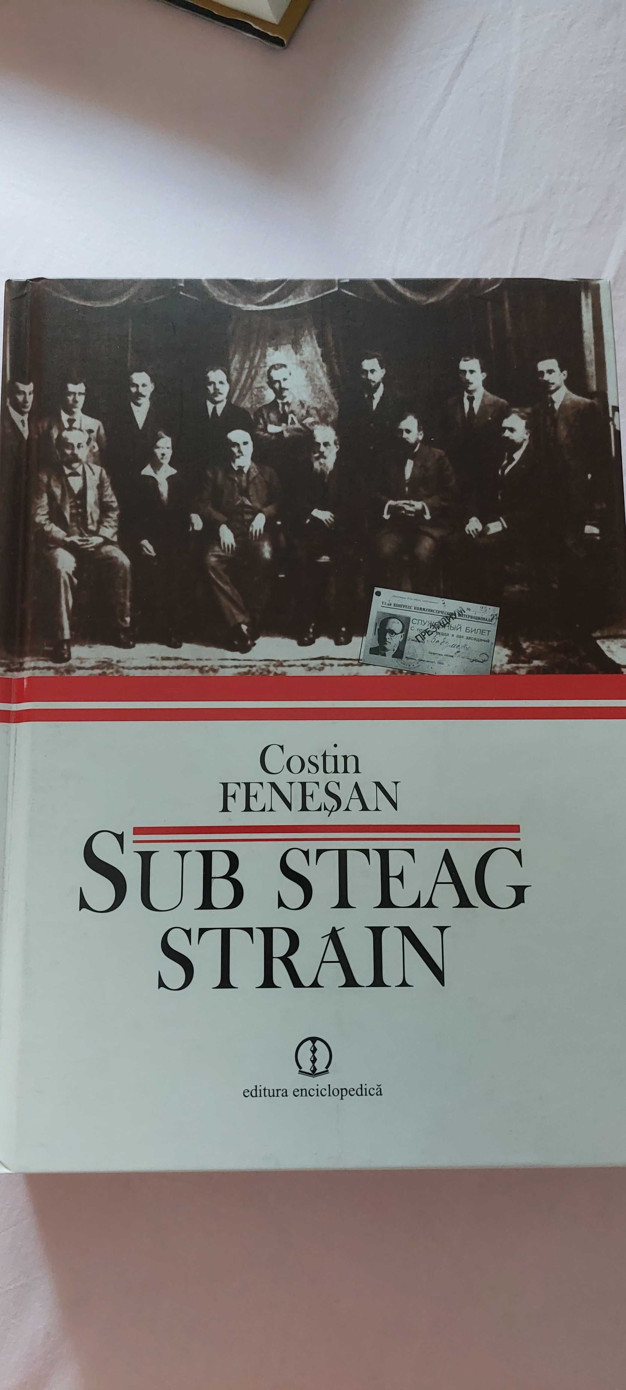 SUB STEAG STRAIN de Costin Fenesan