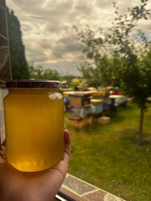 Miere naturală Fulga, Ploiești, Mizil