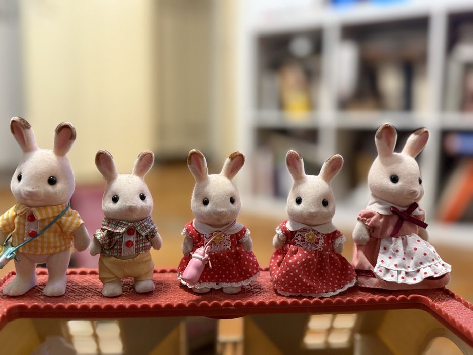 Căsuță de păpuși Sylvanians