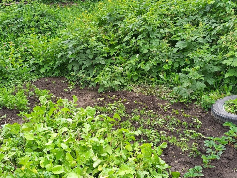 Продам дачу в г.Текели