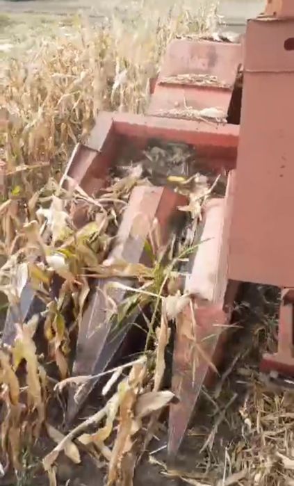 Vând culegătoare zmaj de porumb