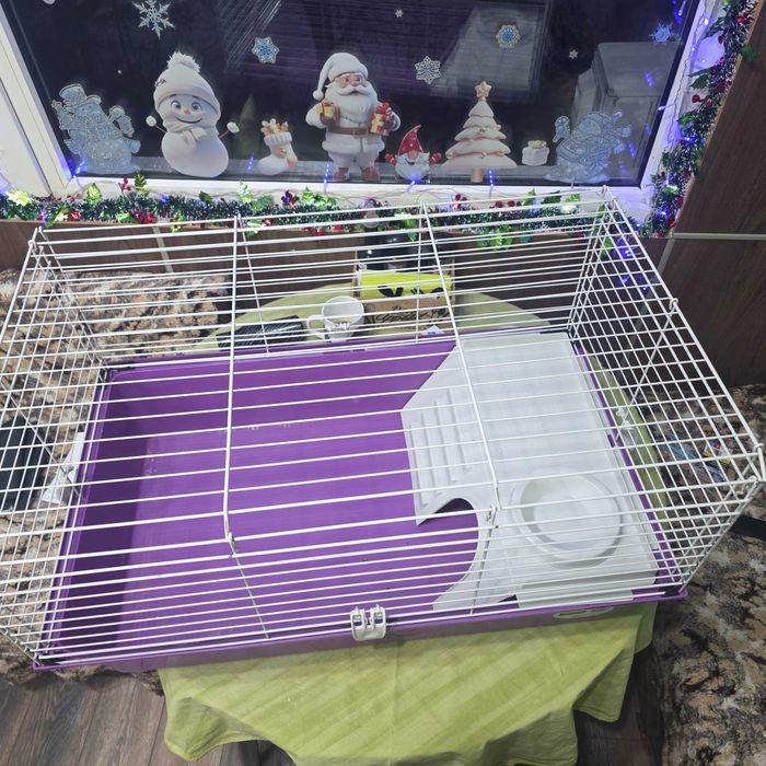 Клетка за зайче или таралежче