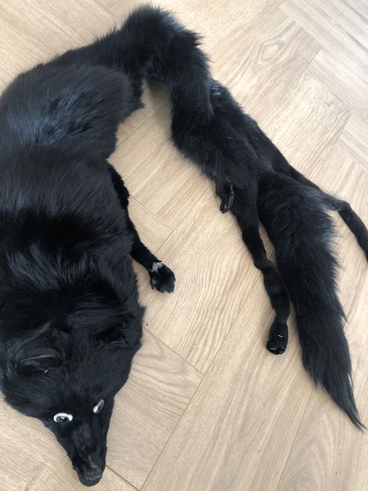 Guler vintage blana vulpe