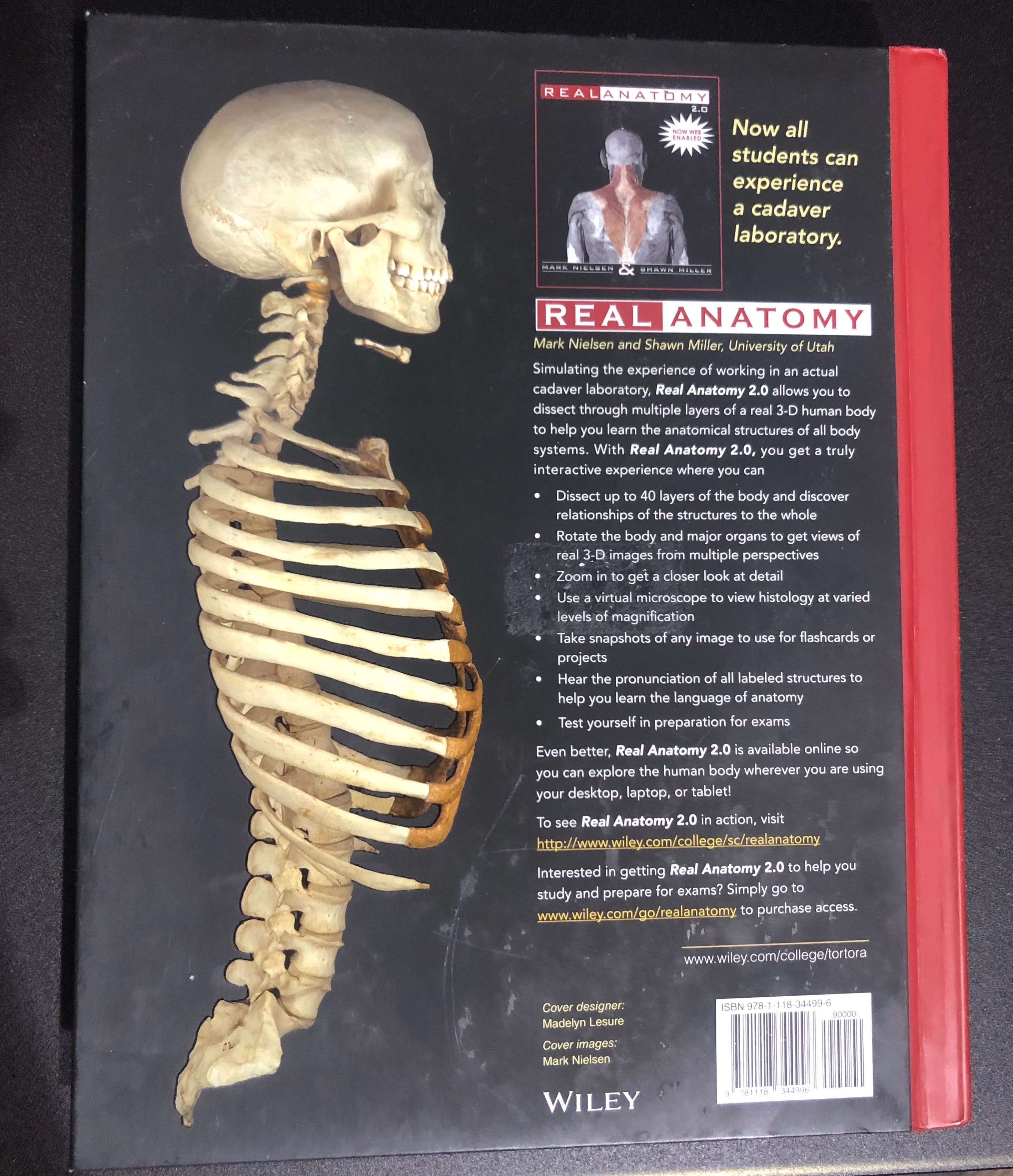 Книга Principles of Human Anatomy 13 издание